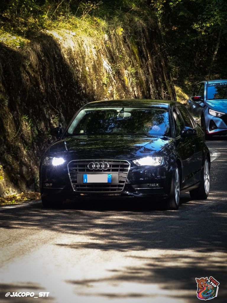 DSC02027.jpg